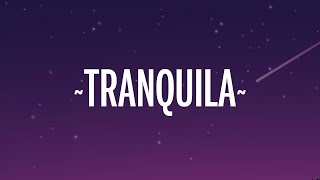 FMK, Maria Becerra - Tranquila (Letra/Lyrics)  | 1 Hour Best Songs Lyrics ♪