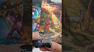 #таро #гадание_онлайн #tarot #таролог