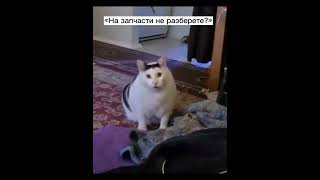 Будни сервисного центра #1 #shorts