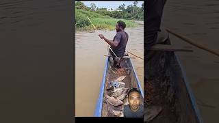 Berburu ikan menggunakan tombak sangat efectif #mancing #fishing #mancingmania #casting #viralvideo