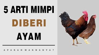 5 Arti Mimpi Diberi Ayam