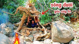 Xây dựng nơi trú ẩn dưới gốc cây to tự tìm thức ăn từ rừng núi | Build a shelter under a big tree