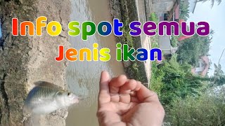 info spot semua jenis ikan ada di tempat ini cucian steam motor & mobil Gang nangka