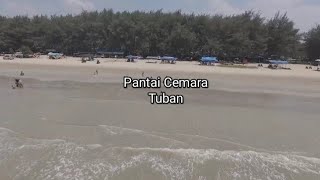 Pantai Cemara Tuban #pantai #tuban #youtube #youtubeshorts #video #videos @AnakHebat12