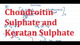 25. Chondroitin, Chondroitin Sulphate and Keratan Sulphate