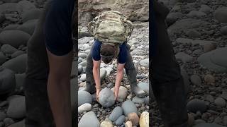 Finding JURASSIC SHELLS In HUGE Rocks On The Beach 🏝️🦖😱🔨