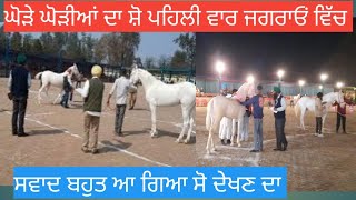 ਜਗਰਾਉਂ ਹੋਰਸ ਸ਼ੋ, ਘੋੜਿਆਂ ਦਾ ਸ਼ੋ, horse show, super star stallion on the ring in jagraon horse show