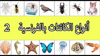 انواع الحيوانات باللغة الفرنسية