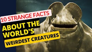 10 Strange Facts About the World's Weirdest Creatures