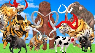 10 Tiger Bull vs Elephant Fight Giant Tiger Lion Attack Cow Cartoon Buffalo Saved by Woolly Mammoth