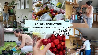 Vlog | Działamy w ogrodzie | Dziś żywię się truskawkami | Zakupy Kaufland | Domowa organizacja