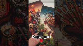 #гадание_онлайн #таро #tarot #прогноз #гадание #таролог #гаданиеонлайн fortune #прогноз