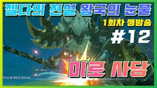 젤다의 전설 티어스 오브더 킹덤 1회차/12