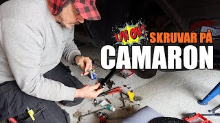 SKRUVAR PÅ CAMARON