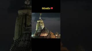 Sree Krishna heart in this temple explained in Telugu #shorts #sreekrishna