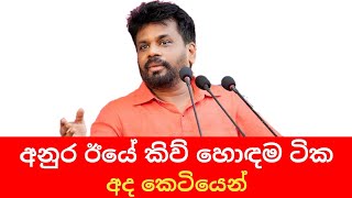 Jathika Janabalawegaya live tosay | Anura kumara Disanayake | Npp Live | Malimawa | you with you