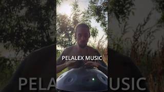 Forest Echo | HANDPAN Pelalex short Music #73