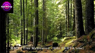 HMY   Tree Meditation  8Hz THETA tone