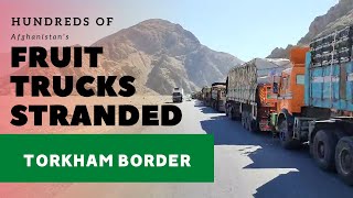 Afghanistan Fruit Trucks Stranded at Torkham Border Pakistan