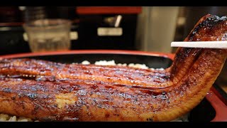 ¥2500 Surprise Weight Unadon/Unagidon in Japan（UNAGI Japanese food）