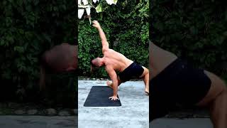 Scorpion Pose Animal Flow Functional Training Primal Movement Mobility Flow Bodyweight Workout Home