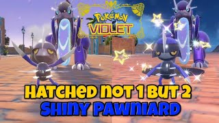 I hatched 2 shiny Pawniard on stream | Pokémon Violet