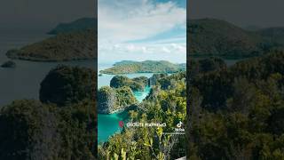 Raja Ampat Sebagai UNESCO Global Geopark Baru di Indonesia?