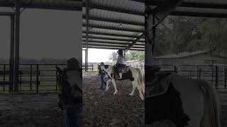 Horse Riding Fun! #pets #animals #horse #horselover #shorts #cute