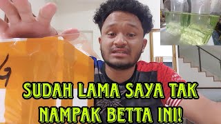 UNBOXING DAN REVIEW INDUK RARE! BETINA DIA PADU GUYSS