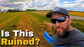 It Rained on Our Hay... Now What?