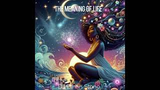 The Meaning of Life by DJ Ethan Stone