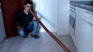 Didgeridoo de eucalipto