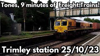 Trains at Trimley station 25/10/23 | Tones, 9 minutes of Freight Trains ! #trimley #railway #train