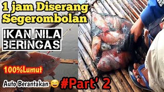 1.JAM DISERANG SEGEROMBOLAN IKAN NILA BERINGAS AUTO BERANTAKN||Mancing Cirata