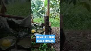 Hujan Di Tengah Hutan Jonggol