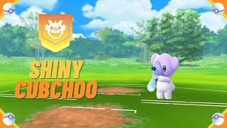 A Wild ✨ Shiny Cubchoo ✨ Appeared! [Pokemon GO] #shorts