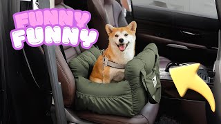 FunnyFuzzy....Portable Leisure Outing Pet Booster Dog Car Seat Bed