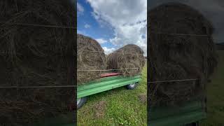 05.08.2024 #mtz #automobile #farming #топ #сельскоехозяйство #mtz82 #кфх #поле #ферма #agriculture