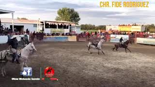 FIDE RODRIGUEZ LO ALCANSA EL TORO