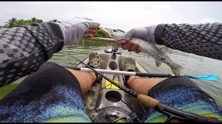 kayak fishing mile marker 88 Islamorada Florida