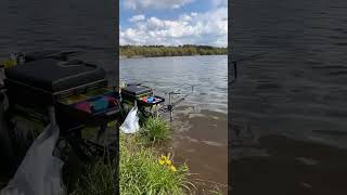 #fishing #shortvideo #рыбалка #фидер #лещнафидер