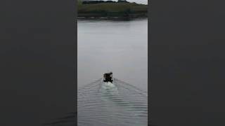 CALEDONIAN MACBRAYNE CROSSING RIVER CLYDE