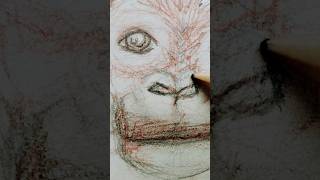 Can you guess what ape this is before the end?#animals#trending#viral#ytshorts#drawing#DIY#art#apes