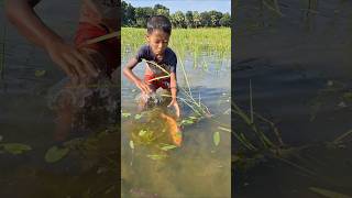 OMG! Amazing boy catching big Ruhu Fish by hand in Beel water #hand_fishing #catching_fish #shorts