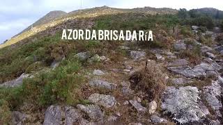 Perdices con Azor da Brisa da Ría