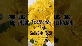 Promesas Bíblicas: Salmo 44:13-20 #bible #biblia #jesus #cristo #diosteama #cristianos #evangelico