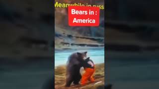 Bears im USA vs on Russia