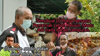 Temubual DJ Pokya bersama Penternak Lebah Kelulut, Madu Asli KELANTAN | HISYAM Channel