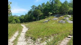 Limestone Glade