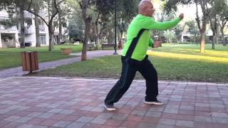 Yang Ling Tai Chung Style Fast form